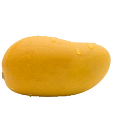 Yellow Mango (Ataulfo variety)